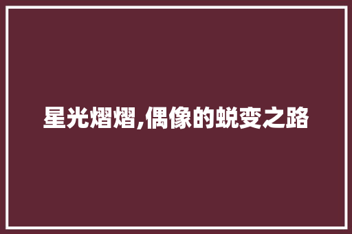 星光熠熠,偶像的蜕变之路