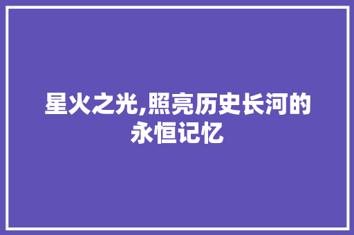 星火之光,照亮历史长河的永恒记忆 求职信范文