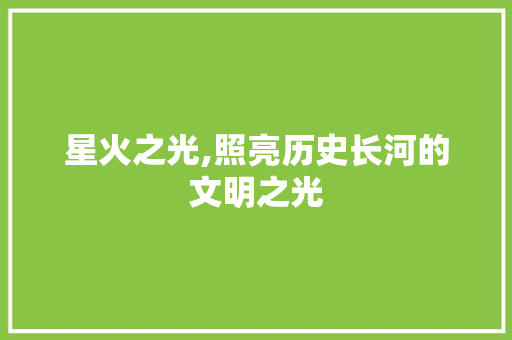 星火之光,照亮历史长河的文明之光