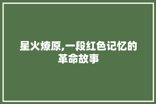 星火燎原,一段红色记忆的革命故事