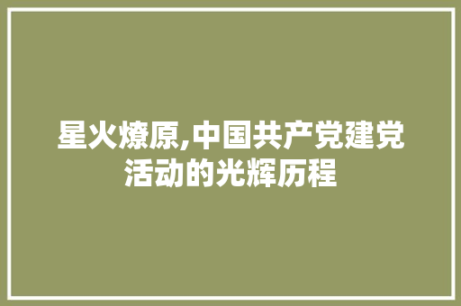 星火燎原,中国共产党建党活动的光辉历程