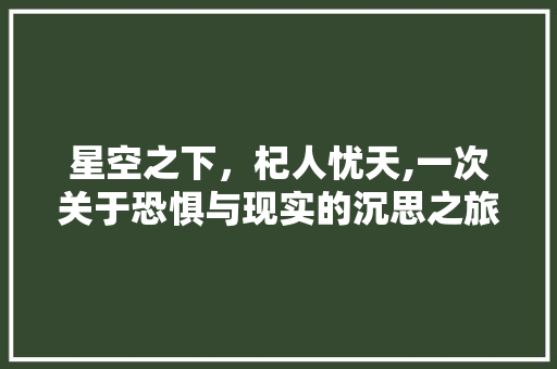 星空之下，杞人忧天,一次关于恐惧与现实的沉思之旅