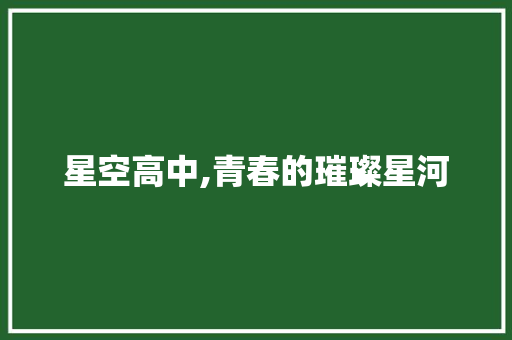 星空高中,青春的璀璨星河 申请书范文