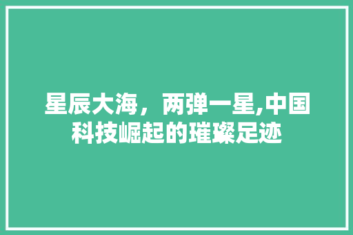 星辰大海，两弹一星,中国科技崛起的璀璨足迹