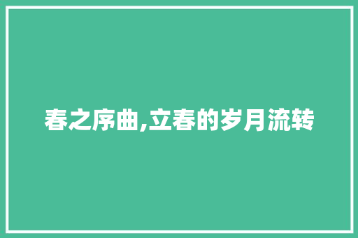 春之序曲,立春的岁月流转