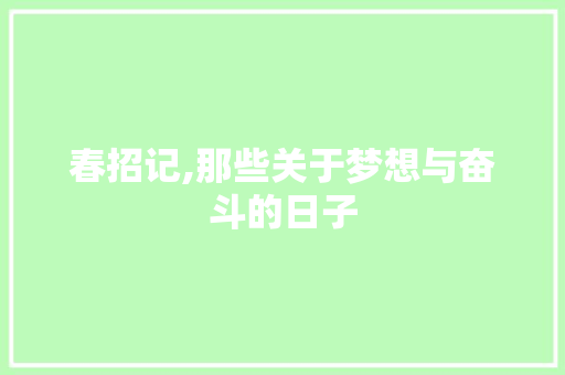 春招记,那些关于梦想与奋斗的日子