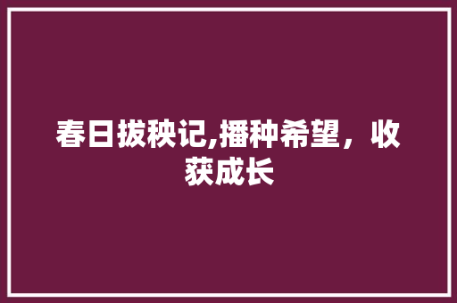 春日拔秧记,播种希望，收获成长