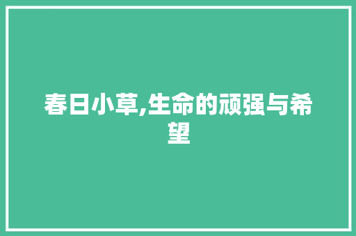 春日小草,生命的顽强与希望