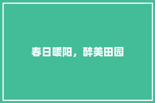 春日暖阳，醉美田园