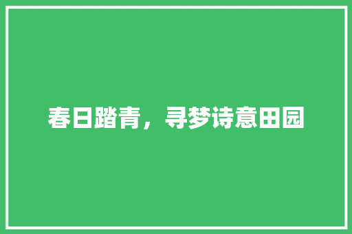 春日踏青，寻梦诗意田园