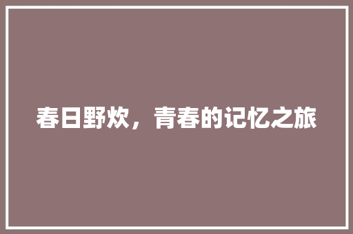 春日野炊，青春的记忆之旅