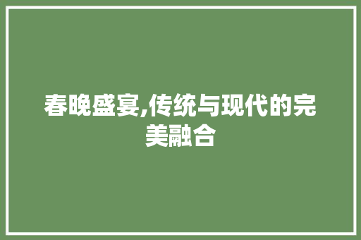 春晚盛宴,传统与现代的完美融合