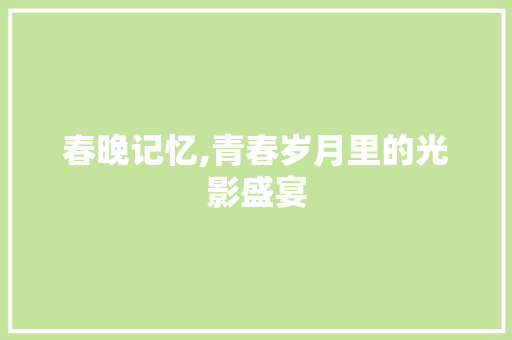 春晚记忆,青春岁月里的光影盛宴