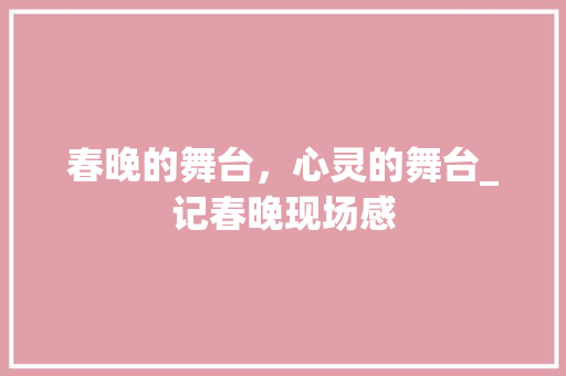 春晚的舞台，心灵的舞台_记春晚现场感