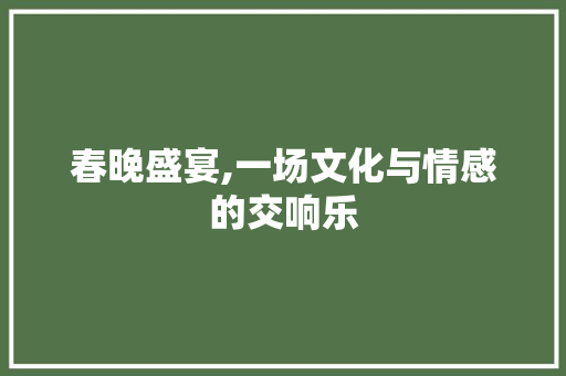 春晚盛宴,一场文化与情感的交响乐