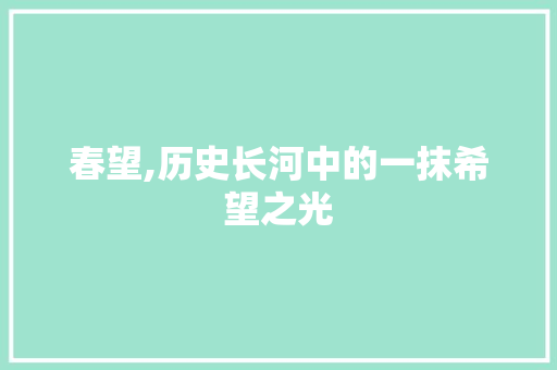 春望,历史长河中的一抹希望之光