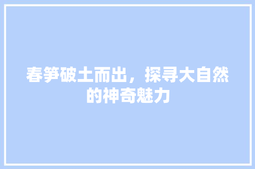 春笋破土而出，探寻大自然的神奇魅力