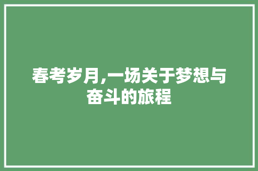 春考岁月,一场关于梦想与奋斗的旅程