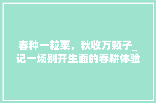 春种一粒粟，秋收万颗子_记一场别开生面的春耕体验