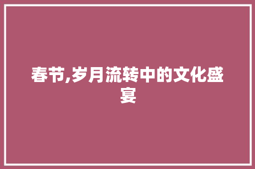 春节,岁月流转中的文化盛宴