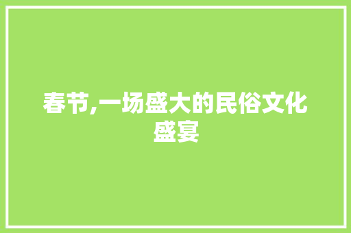 春节,一场盛大的民俗文化盛宴