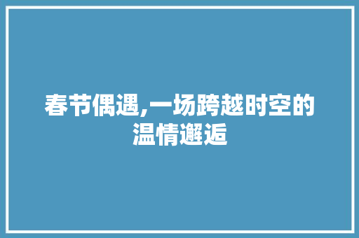 春节偶遇,一场跨越时空的温情邂逅