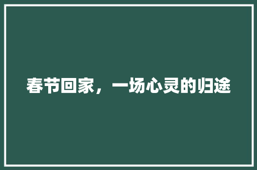 春节回家，一场心灵的归途