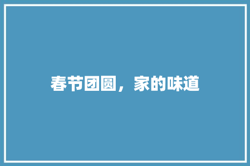 春节团圆，家的味道