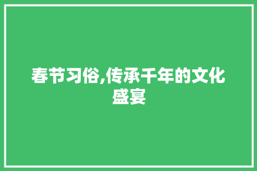 春节习俗,传承千年的文化盛宴