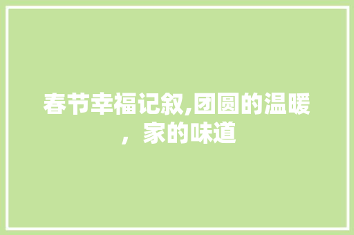 春节幸福记叙,团圆的温暖，家的味道