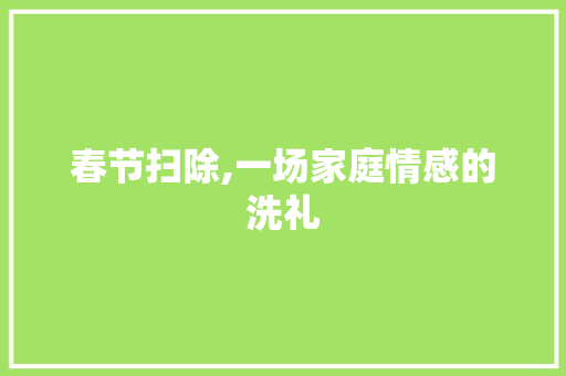 春节扫除,一场家庭情感的洗礼