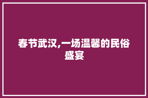 春节武汉,一场温馨的民俗盛宴