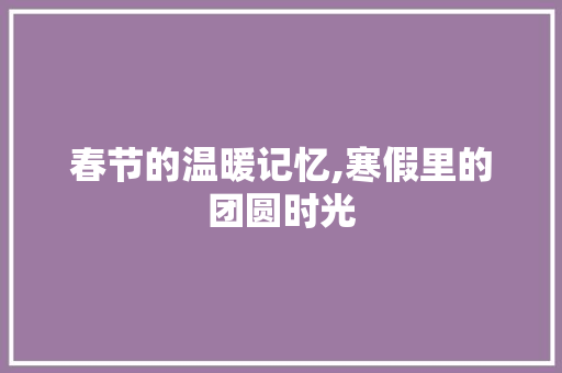 春节的温暖记忆,寒假里的团圆时光 工作总结范文