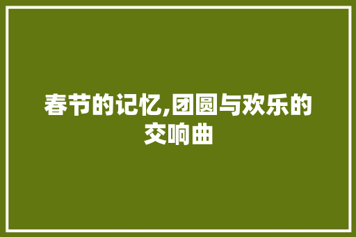 春节的记忆,团圆与欢乐的交响曲