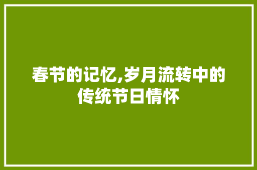 春节的记忆,岁月流转中的传统节日情怀