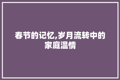 春节的记忆,岁月流转中的家庭温情