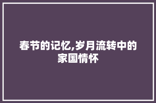 春节的记忆,岁月流转中的家国情怀