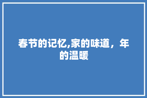 春节的记忆,家的味道，年的温暖