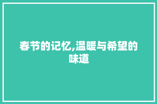 春节的记忆,温暖与希望的味道