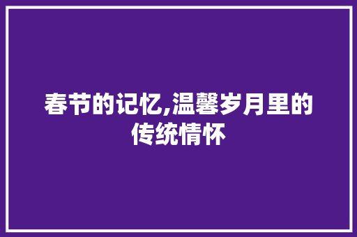 春节的记忆,温馨岁月里的传统情怀