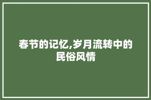 春节的记忆,岁月流转中的民俗风情