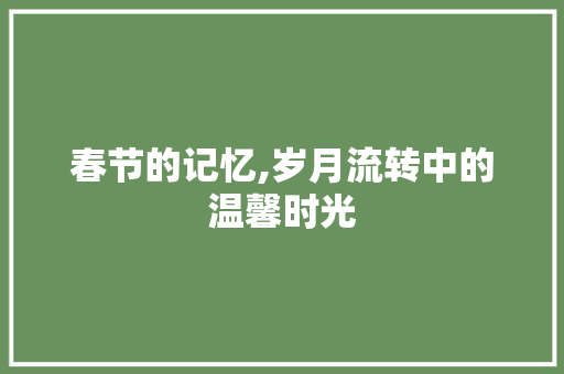 春节的记忆,岁月流转中的温馨时光