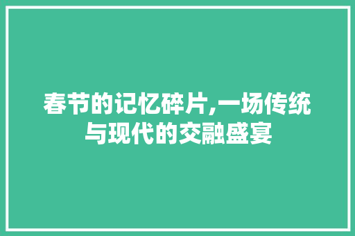 春节的记忆碎片,一场传统与现代的交融盛宴