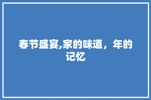 春节盛宴,家的味道，年的记忆