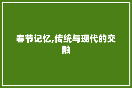 春节记忆,传统与现代的交融