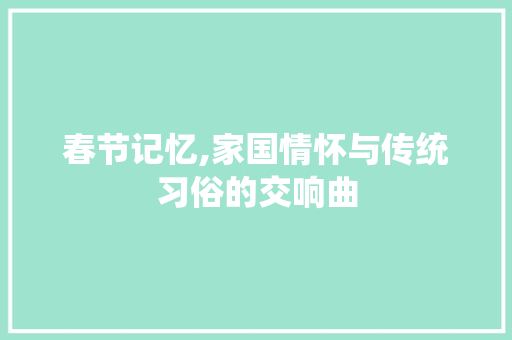 春节记忆,家国情怀与传统习俗的交响曲