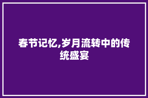 春节记忆,岁月流转中的传统盛宴