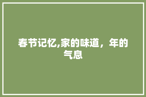 春节记忆,家的味道，年的气息