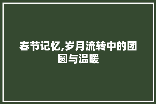 春节记忆,岁月流转中的团圆与温暖 书信范文