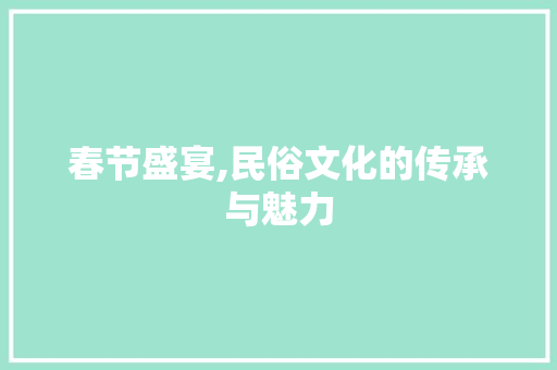 春节盛宴,民俗文化的传承与魅力